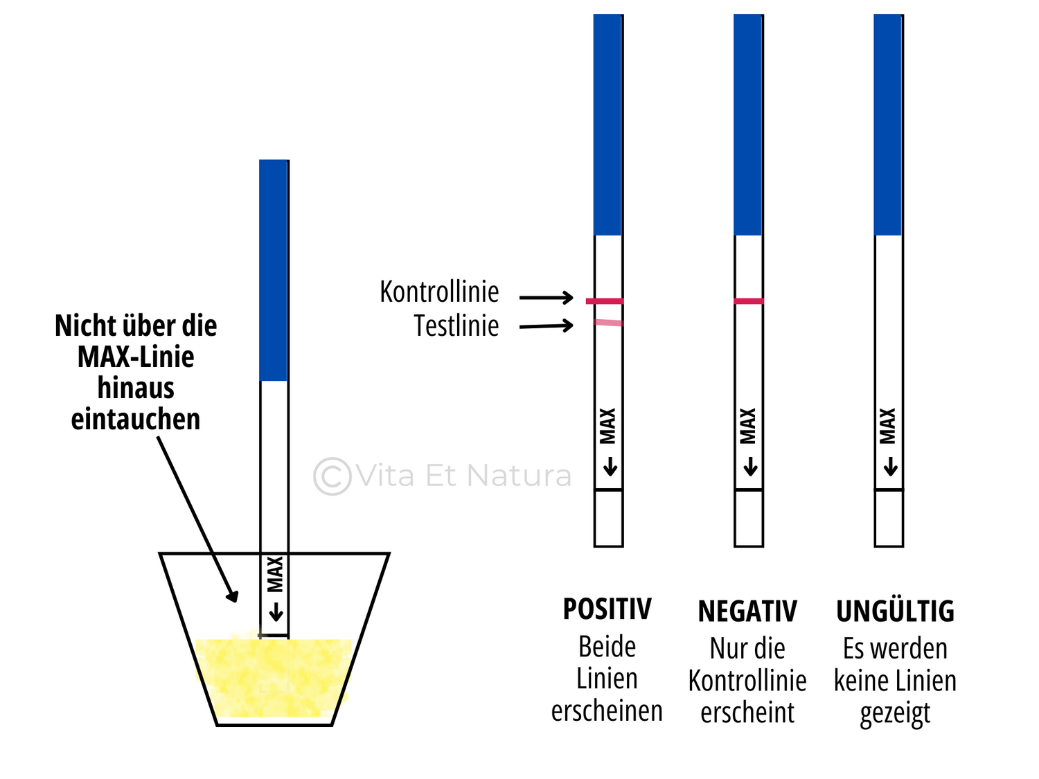 SST + LH-Teststreifen Set