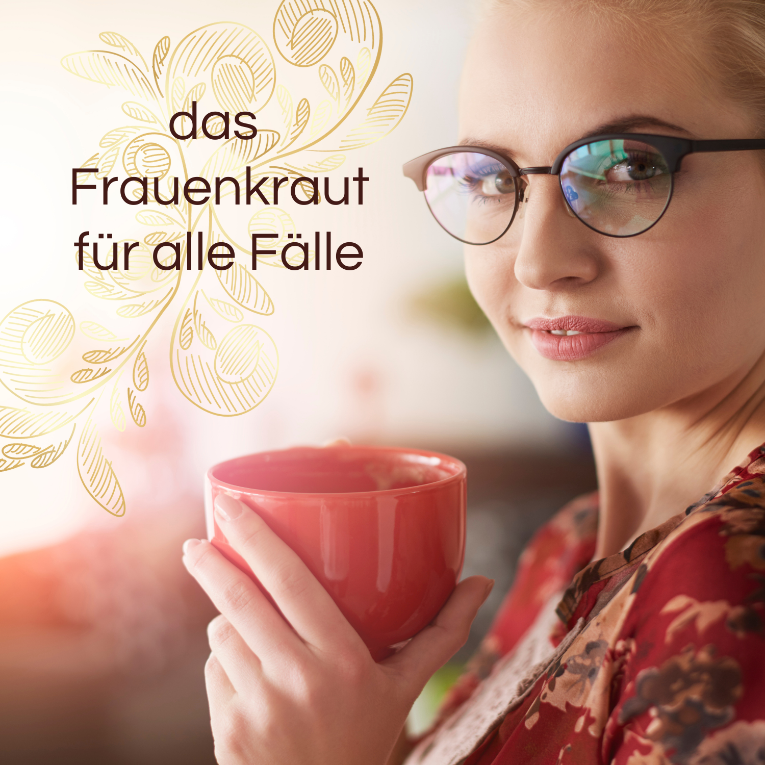 BIO Himbeerblätter-Tee