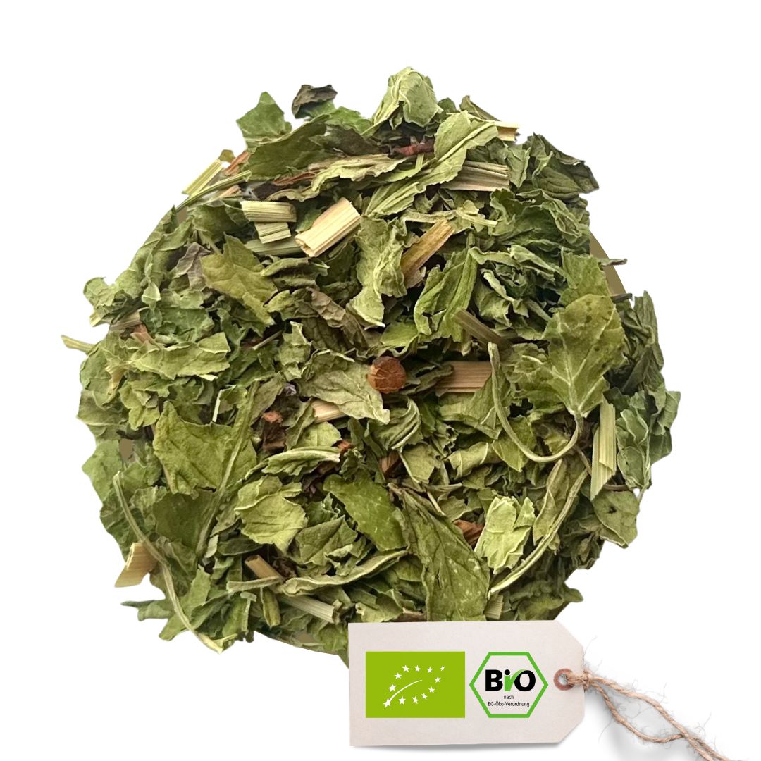 BIO Oriental Mint - Tee Nana Minze