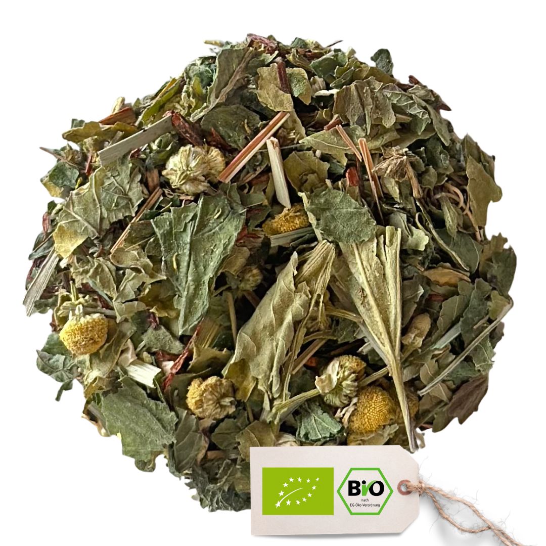 BIO Schwangerschaftstee Set