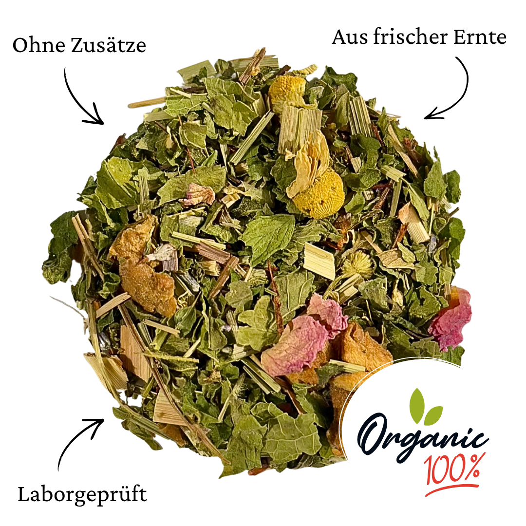 BIO Schwangerschaftstee