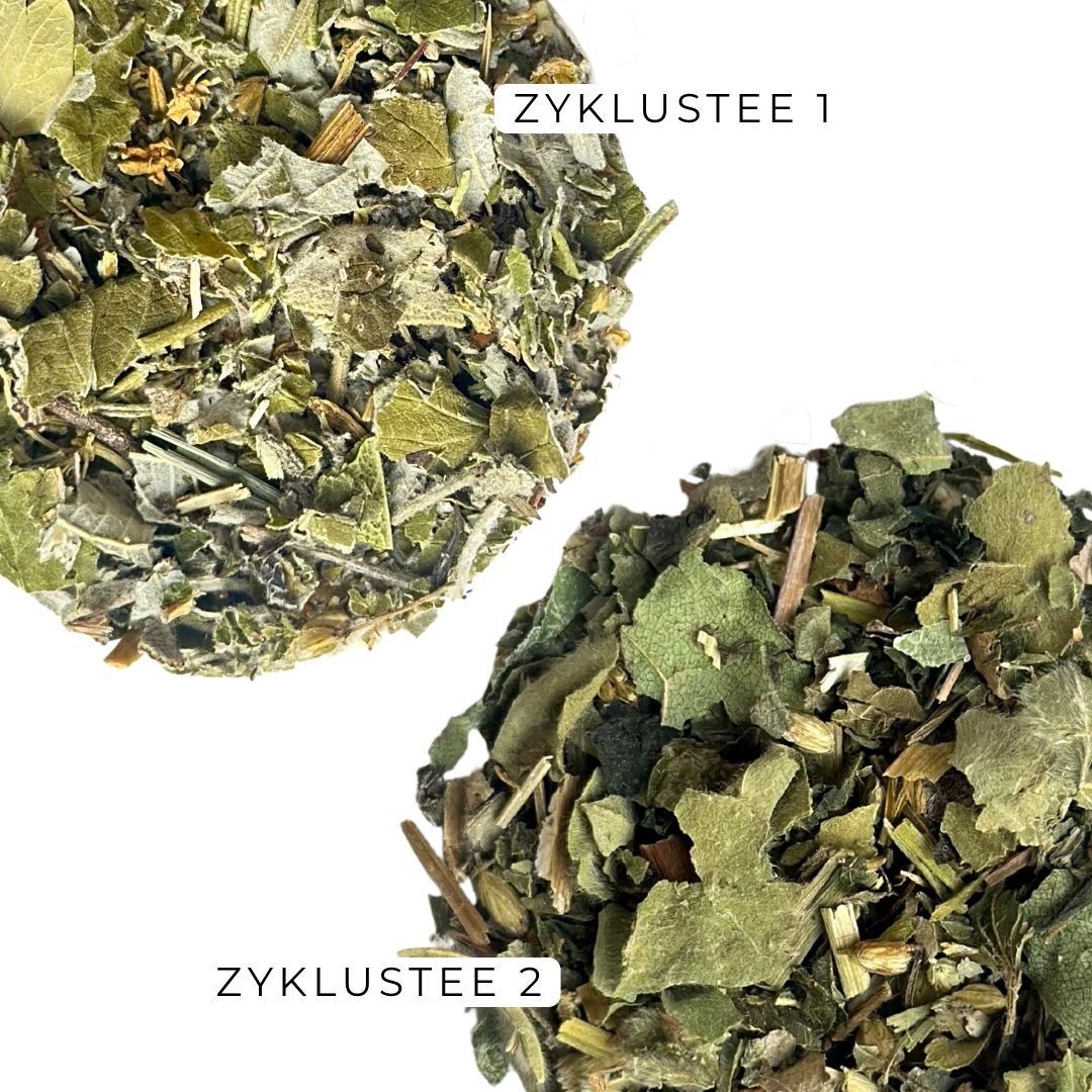 Zyklustee 1 und 2 