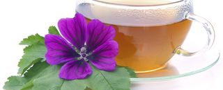 Um einen aromatischen Kräutertee zu erhalten, der vor allem die Eigenschaften der Teekräuter bewahrt, mit denen er aufgebrüht wird, ist es wichtig, bestimmte Regeln zu beachten. Hier geben wir Ihnen einige Empfehlungen.