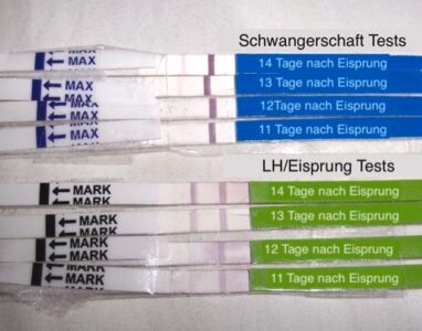 Ovulationstest zur Schwangerschaftsvorhersage?